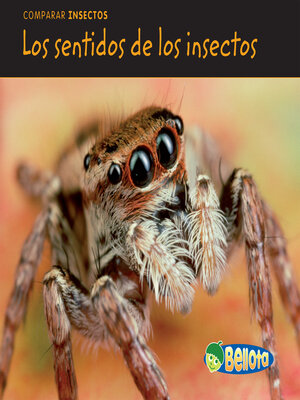 cover image of Los sentidos de los insectos